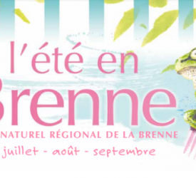 L'été en Brenne L'été en Brenne