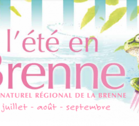 L'été en Brenne