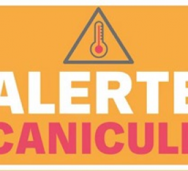 Canicule : consignes Canicule : consignes