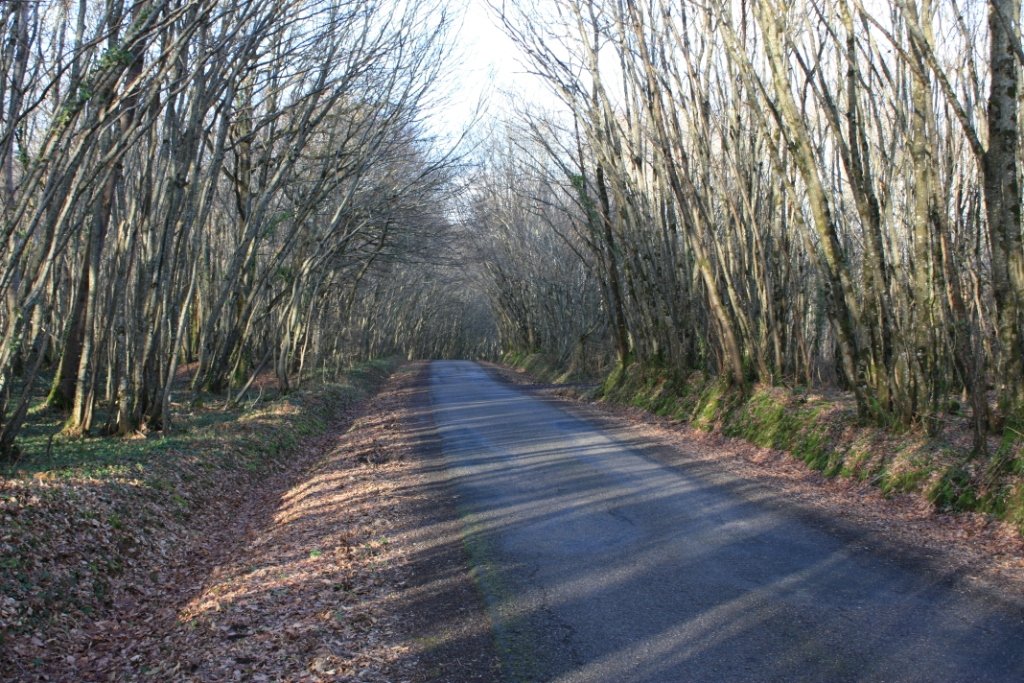 La Croix de la Barre La Croix de la Barre