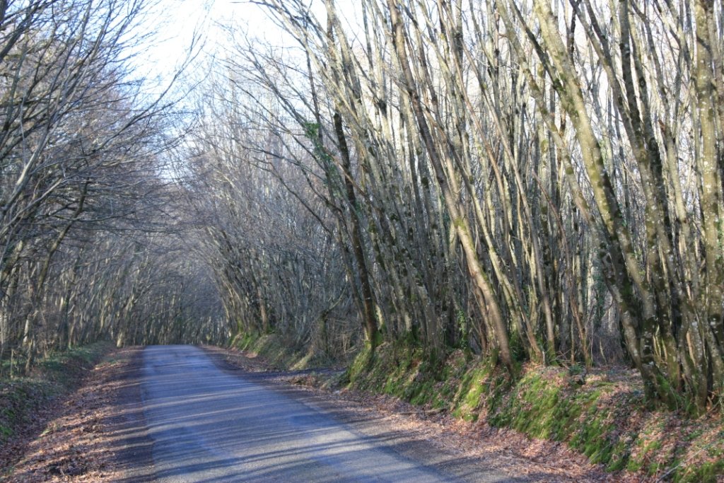 La Croix de la Barre La Croix de la Barre