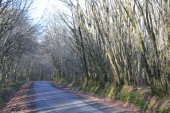 La Croix de la Barre La Croix de la Barre